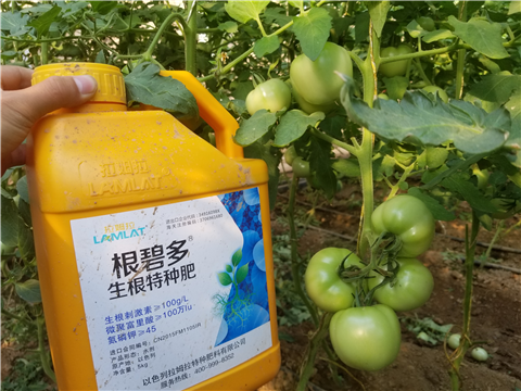 葉面肥，磷酸二氫鉀，微生物菌劑，翠姆，拉姆拉